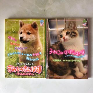 きみとのさんぽ道  &  子ねこのほほえむ時　２冊セット(その他)