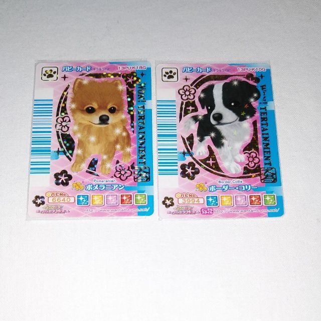 最終値下げ ワンタメ カード 2枚セット | フリマアプリ ラクマ