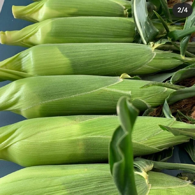 訳あり★生でも食べられるとうもろこし 食品/飲料/酒の食品(野菜)の商品写真