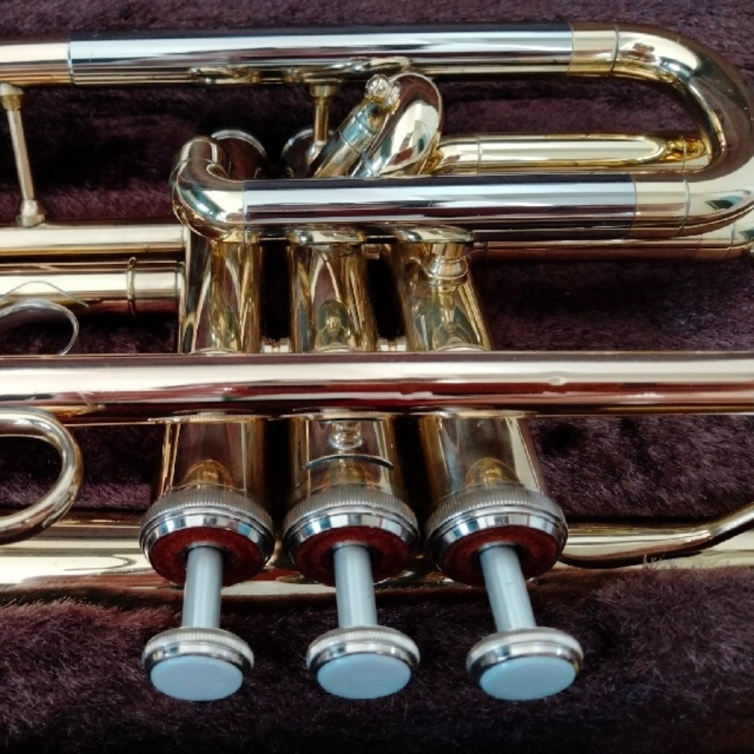 ヤマハ(ヤマハ)のYAMAHA　コルネット　YCR2330 楽器の管楽器(その他)の商品写真