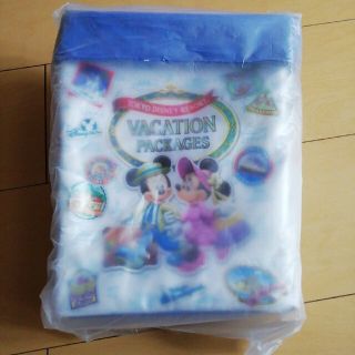 ディズニー(Disney)のバケーションパッケージ　ポップコーンバゲット(遊園地/テーマパーク)