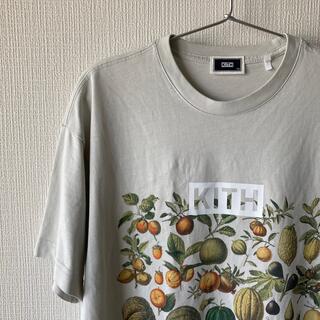 シュプリーム(Supreme)のkith Tシャツ　半袖　XSサイズ(Tシャツ/カットソー(半袖/袖なし))