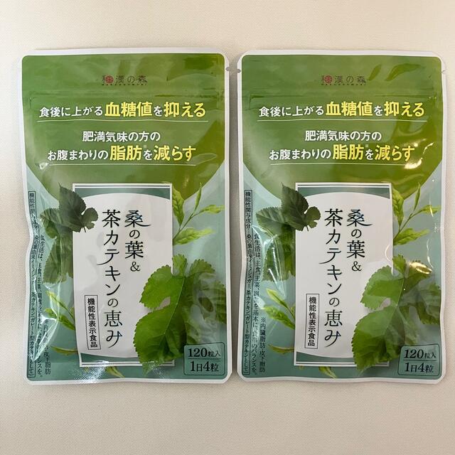 和漢の森　桑の葉茶カテキンの恵み 120粒入×3袋