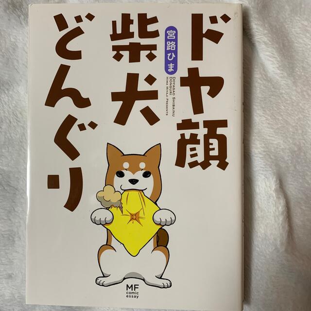 ドヤ顔柴犬どんぐり エンタメ/ホビーの漫画(その他)の商品写真