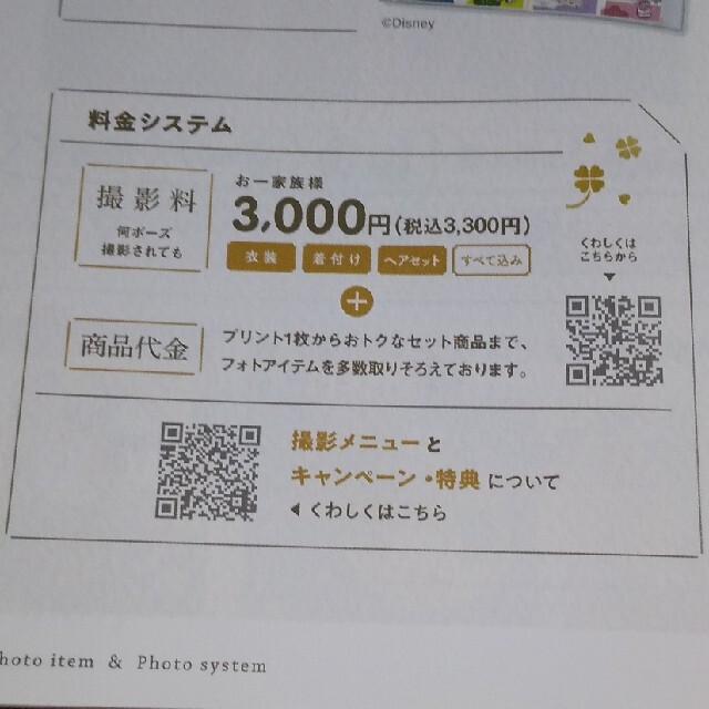 JAL(日本航空)(ジャル(ニホンコウクウ))のスタジオアリス 撮影ご優待券 8000円相当 JALマイレージ キッズ/ベビー/マタニティのメモリアル/セレモニー用品(その他)の商品写真