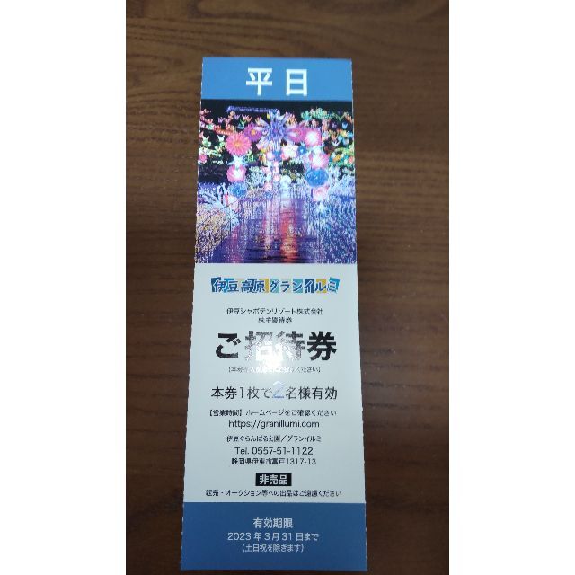 伊豆高原グランイルミご招待券（平日）2名様分 チケットの施設利用券(遊園地/テーマパーク)の商品写真