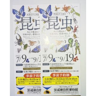 ミュージアムパーク　茨城県自然博物館　昆虫展　招待券　２枚(美術館/博物館)