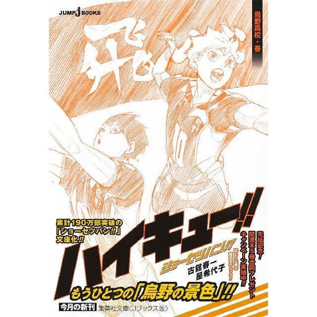 集英社 ハイキュー ショーセツバン 烏野高校 春の通販 by 天元 ハイキュー ショーセツバン 文庫 4冊まとめ売り
