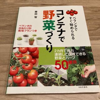 コンテナで野菜づくり ベランダですぐ始められる(趣味/スポーツ/実用)