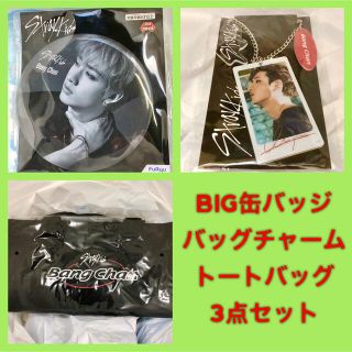ストレイキッズ(Stray Kids)のstray kids ストレイキッズ スキズ プライズ バンチャン 3点セット(アイドルグッズ)