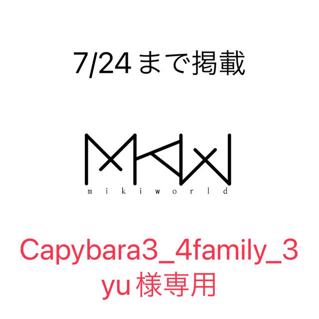 Capybara3_4family_3yu様専用ページの通販 by MiKiWorld｜ラクマ