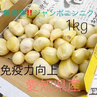 ジャンボニンニク　無農薬　1キロ(野菜)