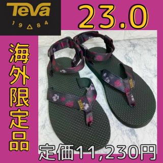 テバ(Teva)のTEVA Floral テバ サンダル　 スポサン　花柄　23 23.0(サンダル)