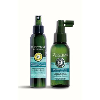 ロクシタン(L'OCCITANE)のロクシタン　ファイブハーブスサマーヘアデュオ　セット未使用(トリートメント)