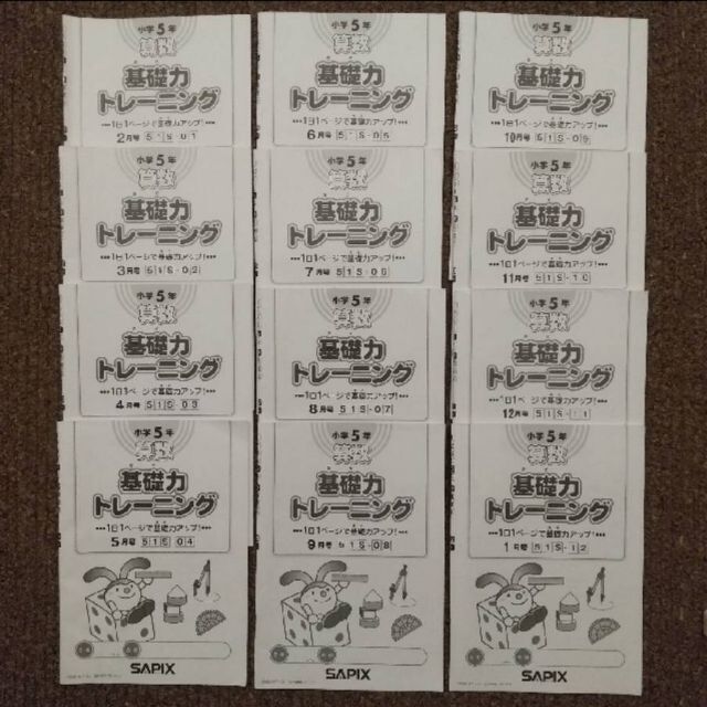 SAPIX/2020年度版/基礎力トレーニング/算数/5年生/12冊+1冊 | www
