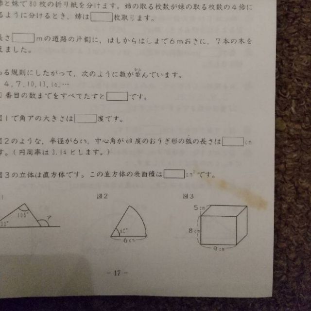 SAPIX/2020年度版/基礎力トレーニング/算数/5年生/12冊+1冊 6