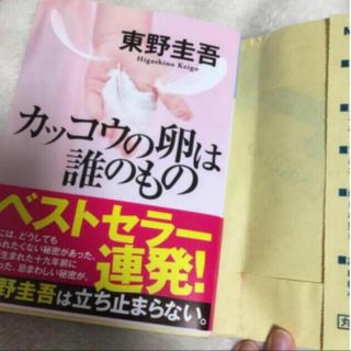 「カッコウの卵は誰のもの」(文学/小説)