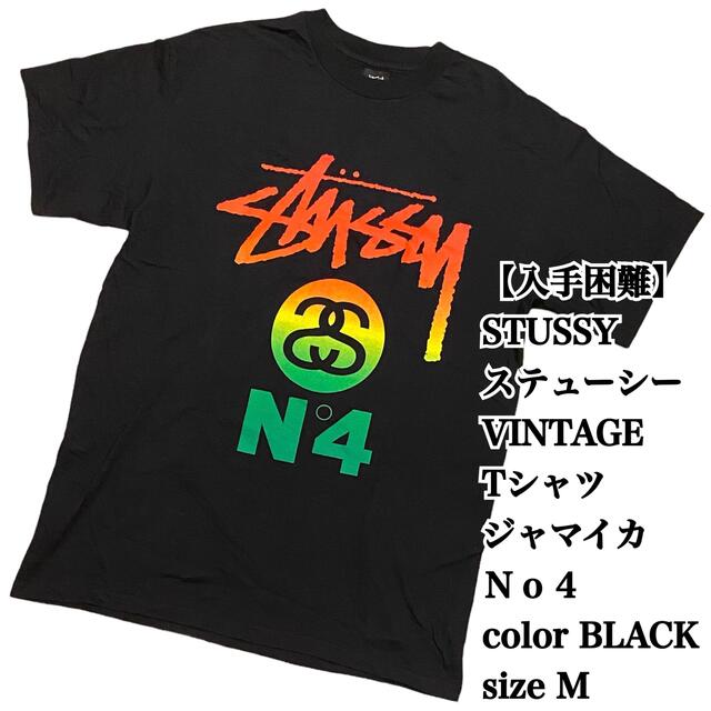 【希少デザイン】stussy 半袖Tシャツ ブラック No.4 ハイビスカス.