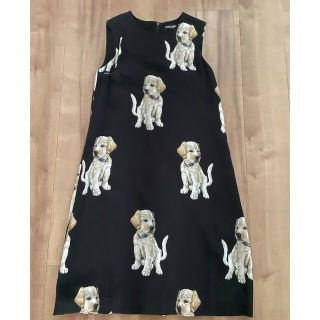 ドルチェアンドガッバーナ(DOLCE&GABBANA)のドルガバ  Aライン　ワンピース　犬柄(ひざ丈ワンピース)