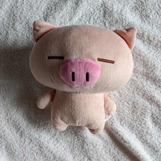 ぶたた ぶたた