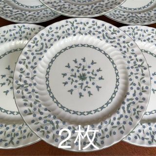 エインズレイ(Aynsley China)の【レア美品】エインズレイ★勿忘草★ディナー皿　2枚(食器)