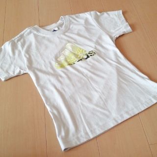 アディダス(adidas)のキッズ　アディダス　Tシャツ 　150cmくらい(Tシャツ/カットソー)