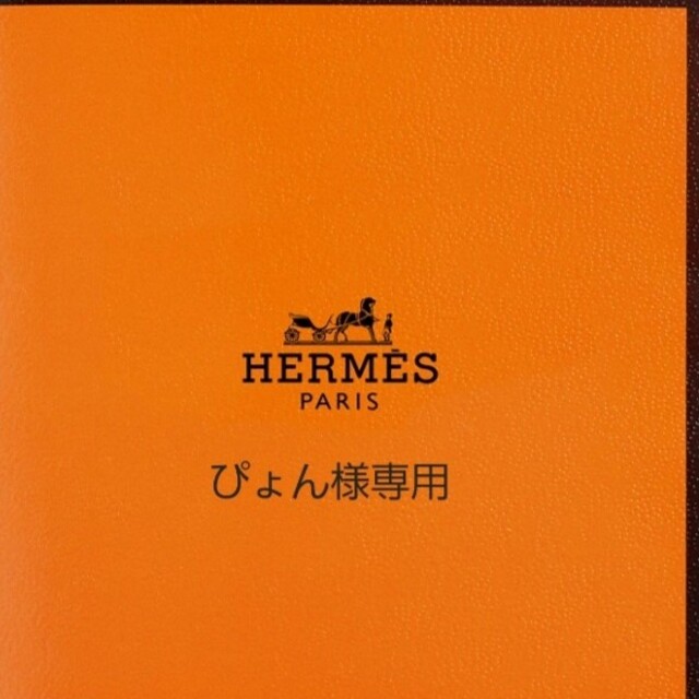 専用HERMES☆エルメス カレ90/ヒョウ、ライオン柄/ロベールダレの