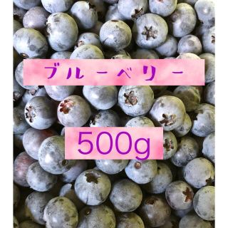 ブルーベリー　500g 無農薬(フルーツ)