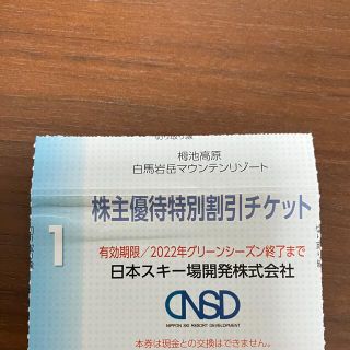 1枚　栂池高原　白馬岩岳マウンテンリゾート　株主特別割引チケット(その他)