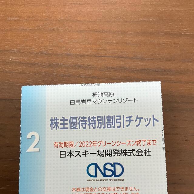 1枚　栂池高原　白馬岩岳マウンテンリゾート　株主特別割引チケット チケットの優待券/割引券(その他)の商品写真