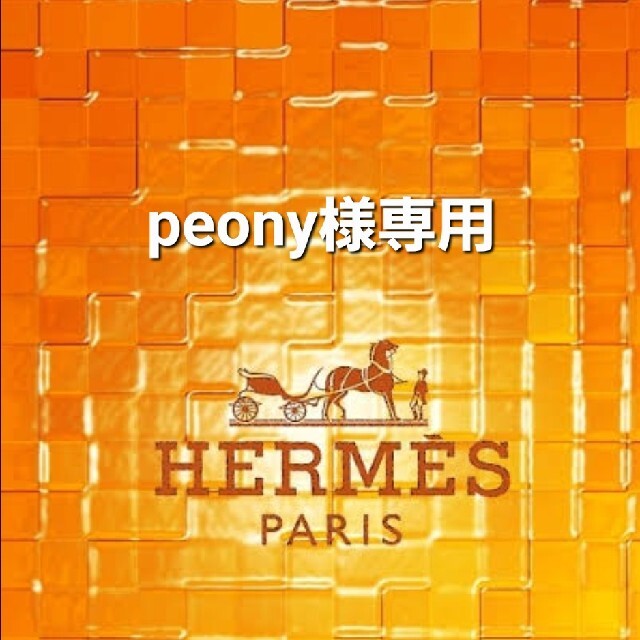 専用です★HERMES★エルメス カレ90/フォーブルでのスペースショッピング