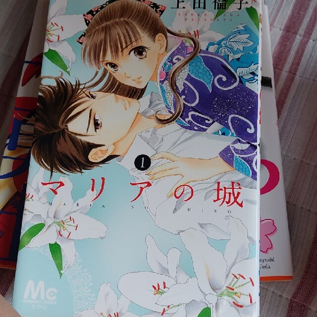 マリアの城 1 エンタメ/ホビーの漫画(少女漫画)の商品写真