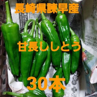 長崎県諫早産 甘長ししとう30本+α(野菜)