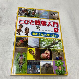 こびと観察入門 捕まえ方から飼い方まで １　こびとずかん(その他)