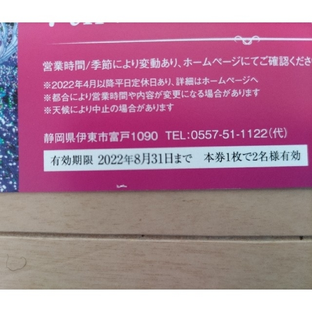 伊豆高原グランイルミ2名様入場券 チケットの施設利用券(遊園地/テーマパーク)の商品写真