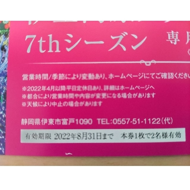 伊豆高原グランイルミ2名様入場券 チケットの施設利用券(遊園地/テーマパーク)の商品写真