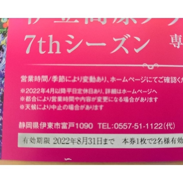 伊豆高原グランイルミ2名様入場券 チケットの施設利用券(遊園地/テーマパーク)の商品写真