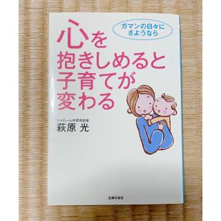 心を抱きしめると子育てが変わる(その他)