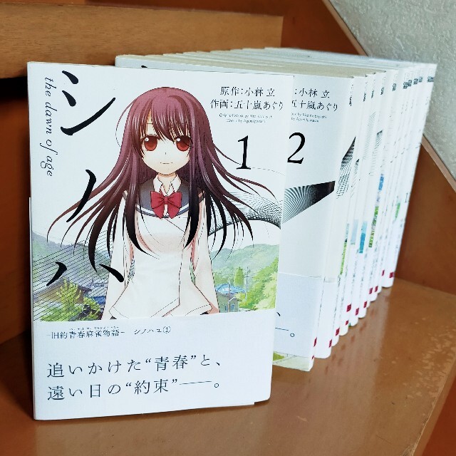 【11巻セット★美品】シノハユ エンタメ/ホビーの漫画(青年漫画)の商品写真