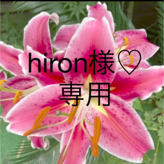 hiron様♡専用ページ ハンドメイドのキッズ/ベビー(その他)の商品写真