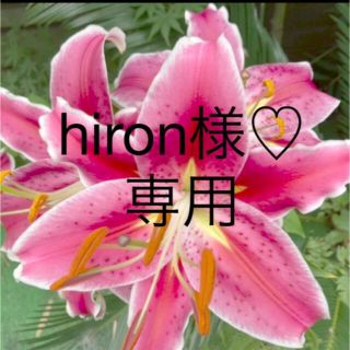 hiron様♡専用ページ(その他)