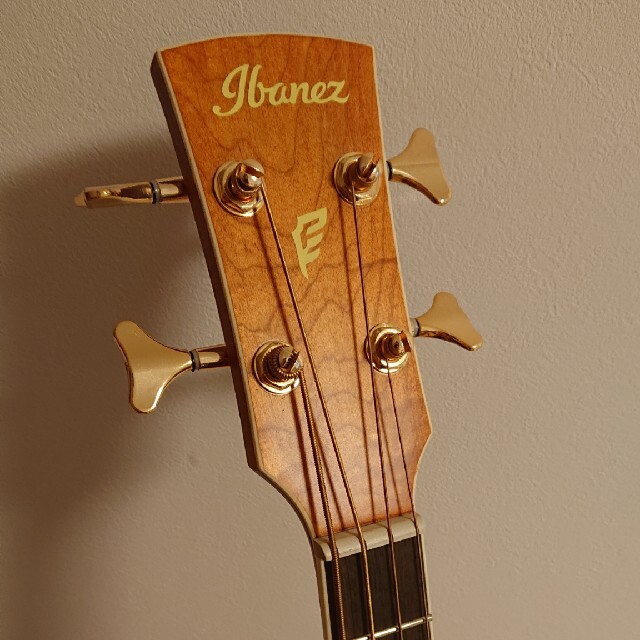 Ibanez(アイバニーズ)のアコースティックベース 楽器のベース(アコースティックベース)の商品写真