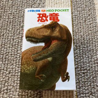 小学館の図鑑　ネオポケット　恐竜(絵本/児童書)