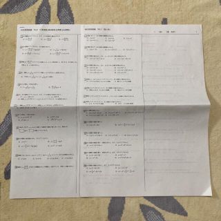 数学 分数関数・無理関数・逆関数・合成関数・微分法・積分法プリント(語学/参考書)