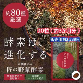 乳酸菌+ビタミン配合 本甕仕込み 『匠の野草酵素 90粒 約3か月分 』(その他)