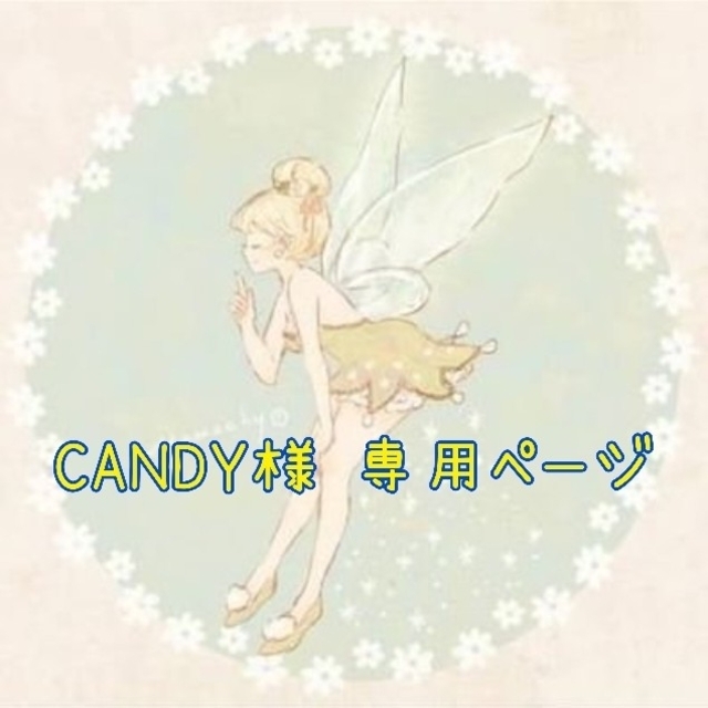 CANDY様 専用ページ ハンドメイドのハンドメイド その他(その他)の商品写真