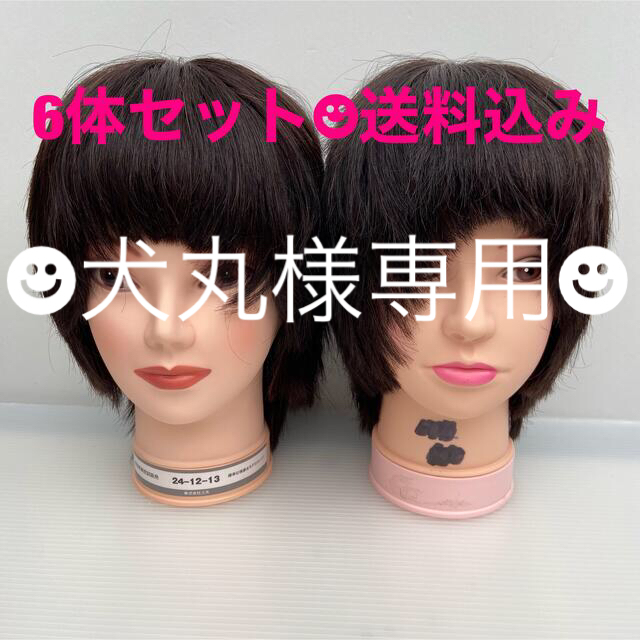 美容師実技試験用カットウィッグ 6個セット 本店は 8050円引き www.think3d.in