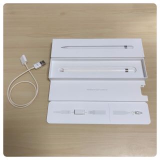 アップル(Apple)のApple Pencil 第1世代 ジャンク A1603(その他)