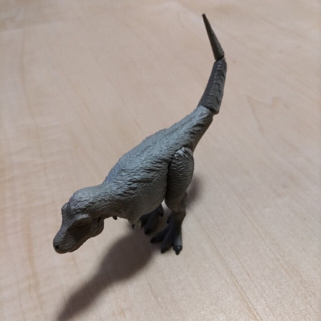 ティラノサウルスグレー