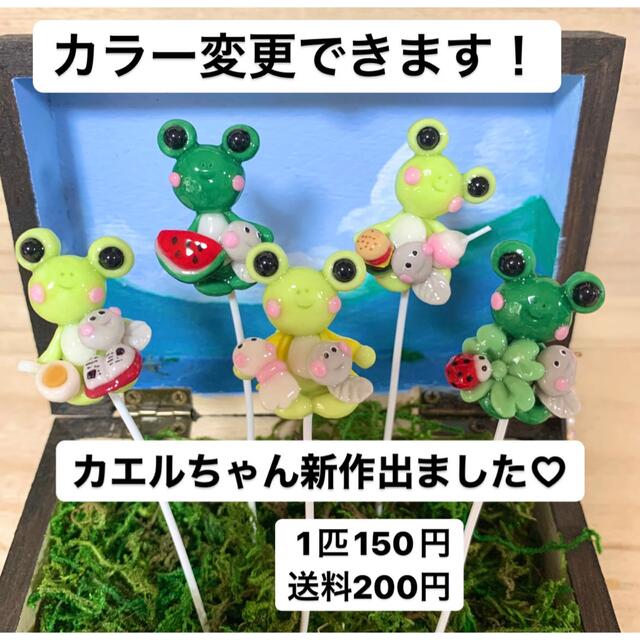 〜そのまま飾れる〜多肉植物寄せ植え(ハンドメイド)カエルピックフラワー/ガーデン